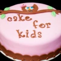 Cake 4 Kids Contest {2013}