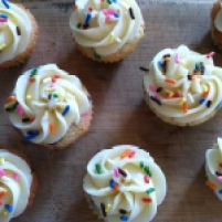 Mini Sprinkled Cupcakes