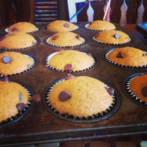 Chocolate Chip Pumpkin Muffins